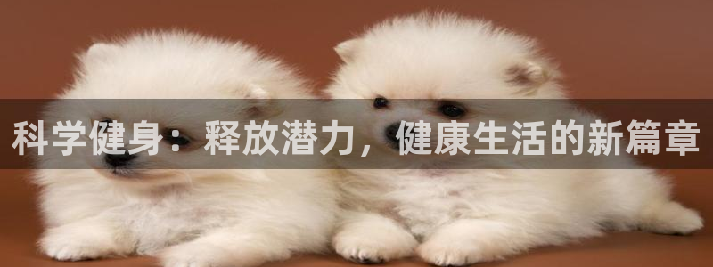 意昂4官方网站