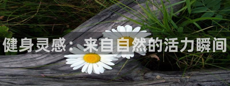 意昂4官方网站