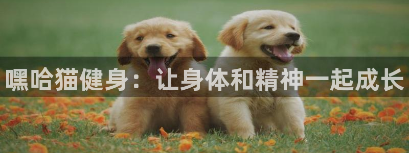 意昂4官方网站