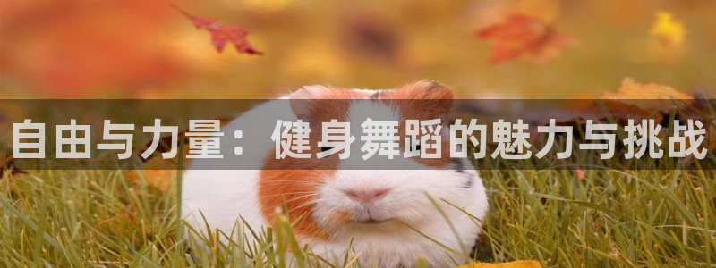 意昂4官方平台