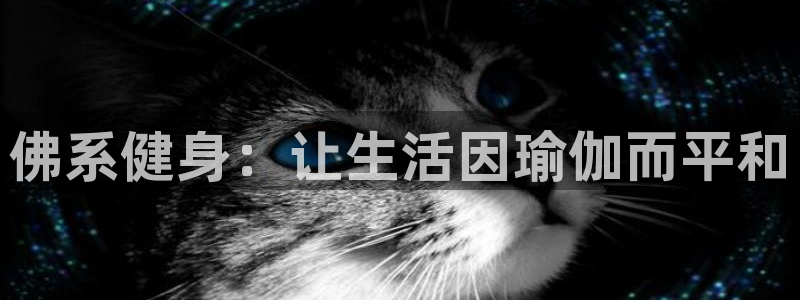 意昂4娱乐