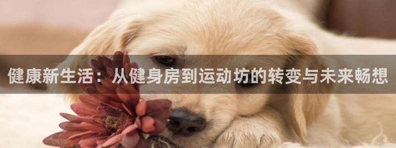 意昂4代理
