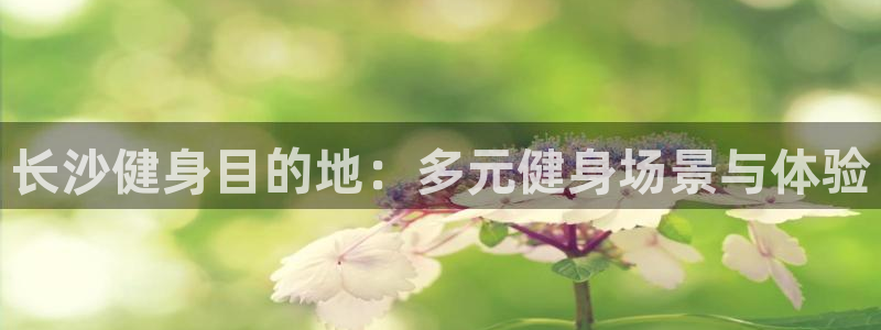 意昂4代理