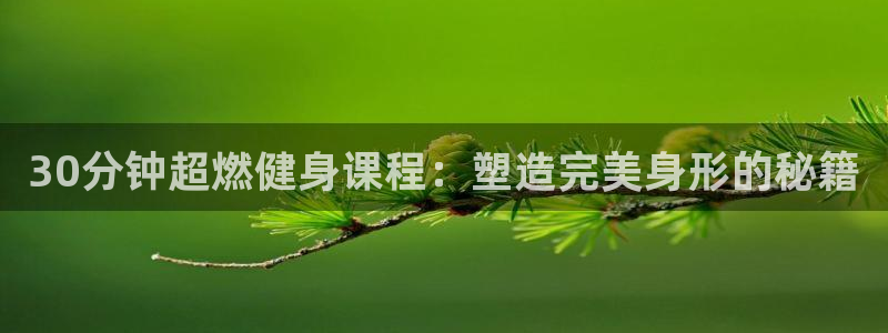 意昂4招商
