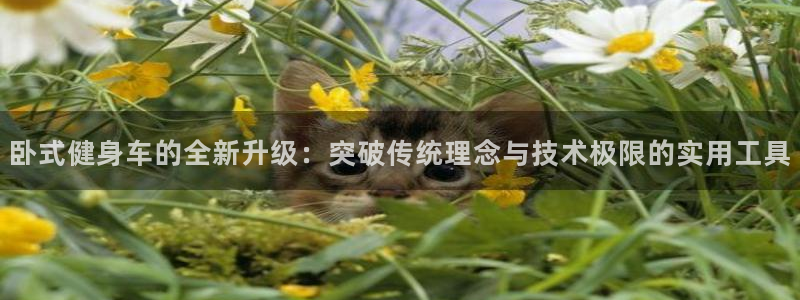意昂4代理