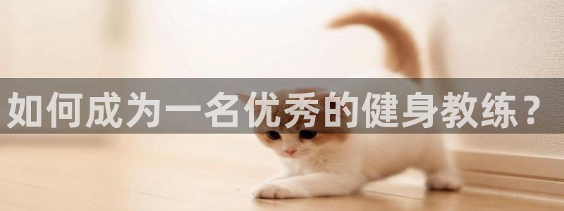 意昂4代理