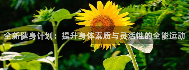 意昂4招商
