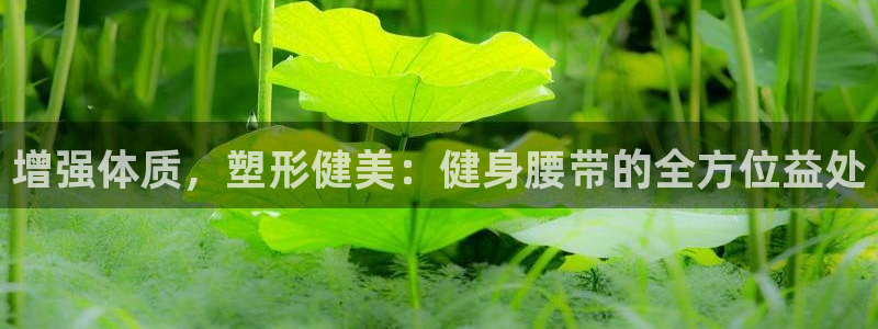 意昂4官方网站