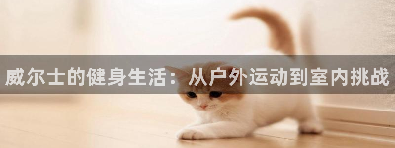意昂4招商
